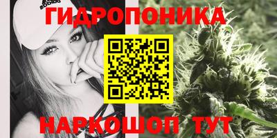 стафф Железногорск