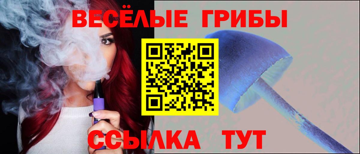 Галлюциногенные грибы Psilocybine cubensis Белово
